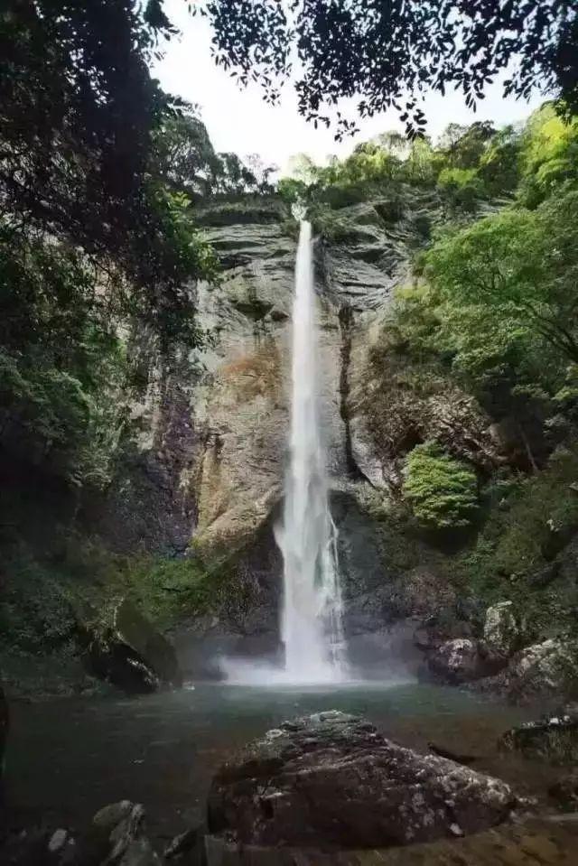 过敏性紫癜科学防治：医患沟通，同心协力，才能战胜紫癜顽疾！